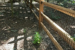 Wood-Split-Rail-Fencing